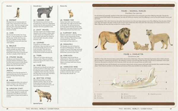 The Animal World: The Amazing Connections and Diversity Found in the Animal Family Tree