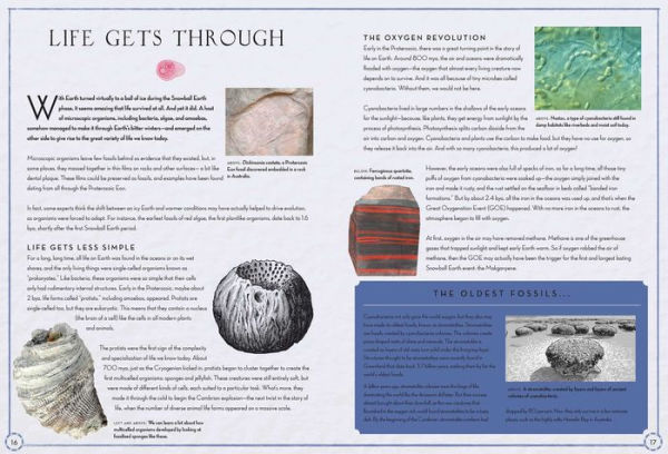 Continental Drift: The Evolution of Our World from the Origins of Life to the Far Future