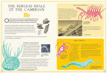 Alternative view 9 of Continental Drift: The Evolution of Our World from the Origins of Life to the Far Future