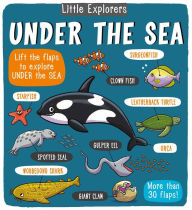 Title: Little Explorers: Under the Sea, Author: Little Bee Books