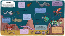 Alternative view 5 of Under the Sea (Little Explorers Series)