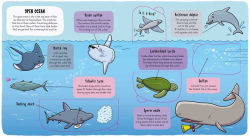 Alternative view 6 of Under the Sea (Little Explorers Series)
