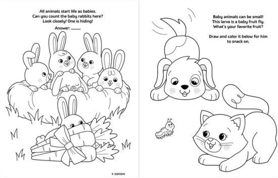 Download Crayola Baby Animals A Coloring Activity Book By Buzzpop Paperback Barnes Noble