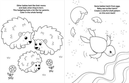 Download Crayola Baby Animals A Coloring Activity Book By Buzzpop Paperback Barnes Noble