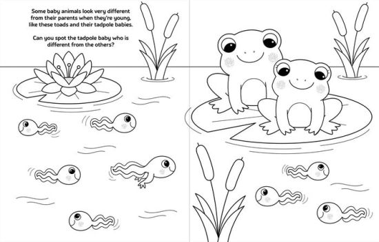 Download Crayola Baby Animals A Coloring Activity Book By Buzzpop Paperback Barnes Noble