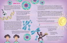 Alternative view 11 of The Secret Code Inside You: All About Your DNA