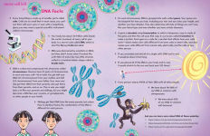 Alternative view 5 of The Secret Code Inside You: All About Your DNA