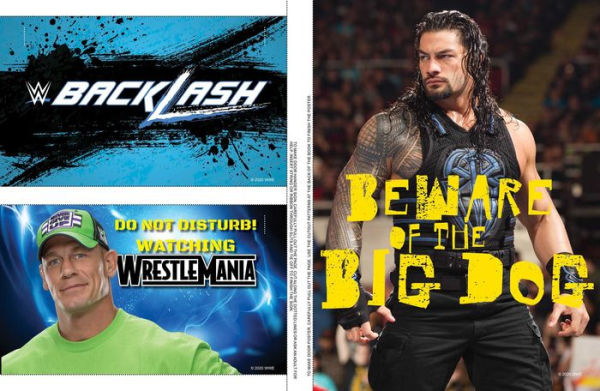 WWE Superstars and Legends Poster Book