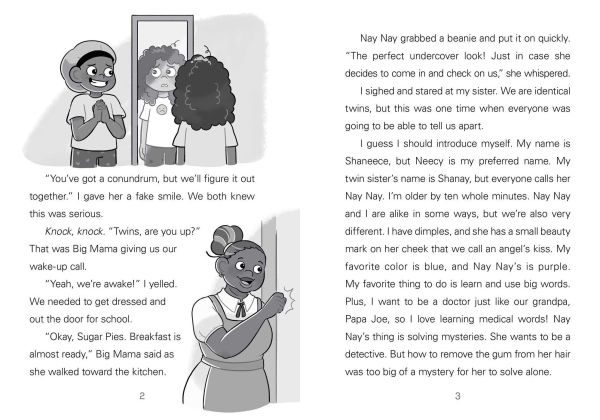 Neecy and Nay Nay and the Tangled, Hairy Mess (Neecy and Nay Nay #1) (A Little Bee Books Chapter Book Series)