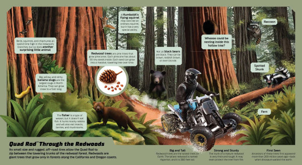 Hot Wheels: Exploring the Wild Wilderness (A Mattel Hot Wheels Lift the Flap Novelty Board Book for Kids)