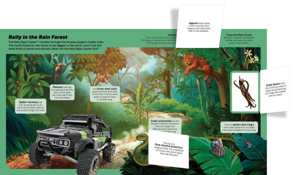 Hot Wheels: Exploring the Wild Wilderness (A Mattel Hot Wheels Lift the Flap Novelty Board Book for Kids)