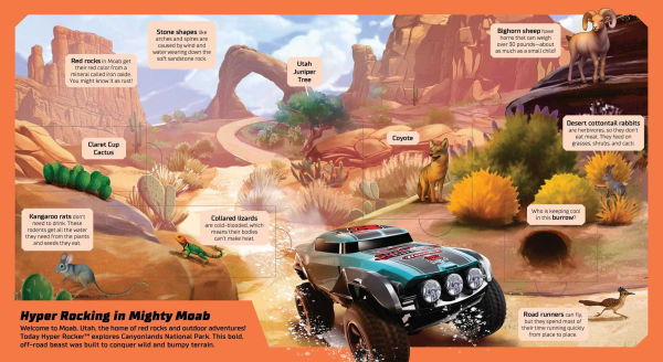 Hot Wheels: Exploring the Wild Wilderness (A Mattel Hot Wheels Lift the Flap Novelty Board Book for Kids)
