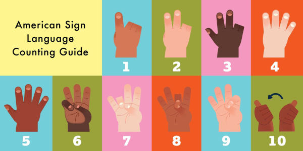 The 123s of Baby's Needs: A Sign Language Book for Babies