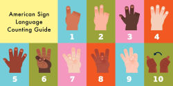 Alternative view 10 of The 123s of Baby's Needs: A Sign Language Book for Babies