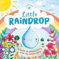 Title: Little Raindrop, Author: Data Rebel