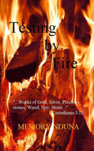 Title: Testing by Fire: ...works of Gold, Silver, Precious stones, Wood, Hay, Straw...1 Corinthians 3:12, Author: Memory Nduna