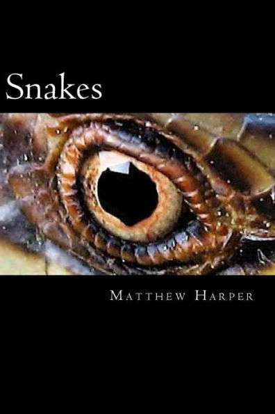 Snakes: A Fascinating Book Containing Snake Facts, Trivia, Images & Memory Recall Quiz: Suitable for Adults & Children