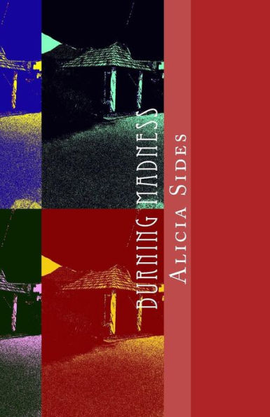 Burning Madness: A Rose Mystery