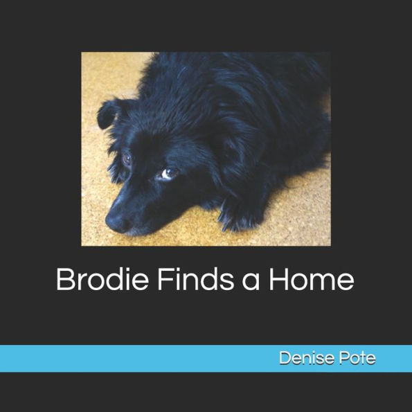 Brodie Finds a Home: Book 1