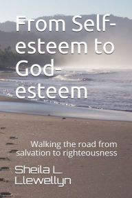 Title: From Self-esteem to God-esteem, Author: Sheila L Llewellyn
