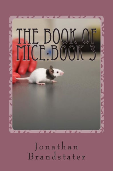 The Book of Mice: Book 3: The Punk rats!
