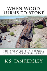 Title: When Wood Turns to Stone: The Story of the Arizona National Petrified Forest, Author: K S Tankersley