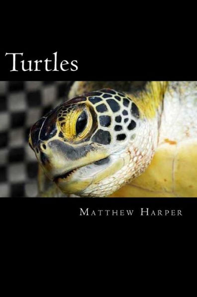 Turtles: A Fascinating Book Containing Turtle Facts, Trivia, Images & Memory Recall Quiz: Suitable for Adults & Children