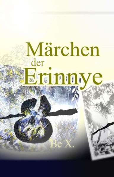 Maerchen der Erinnye: 13 Maerchen und ein langes Vorwort aus feministischer Sicht