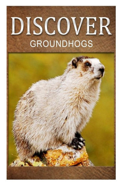 Groundhogs - Discover: Early reader's wildlife photography book
