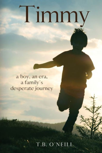 Timmy: a boy, an era, a family's desperate journey