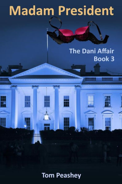 Madam President: The Dani Affair: Book 3