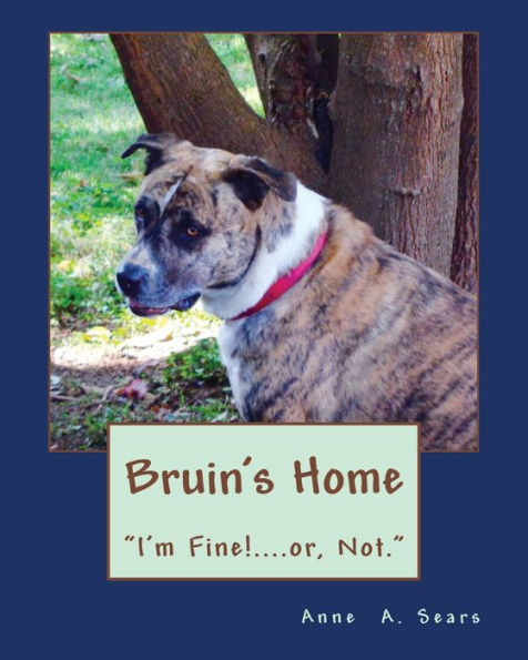 Bruin's Home (Book 4): Adjustments