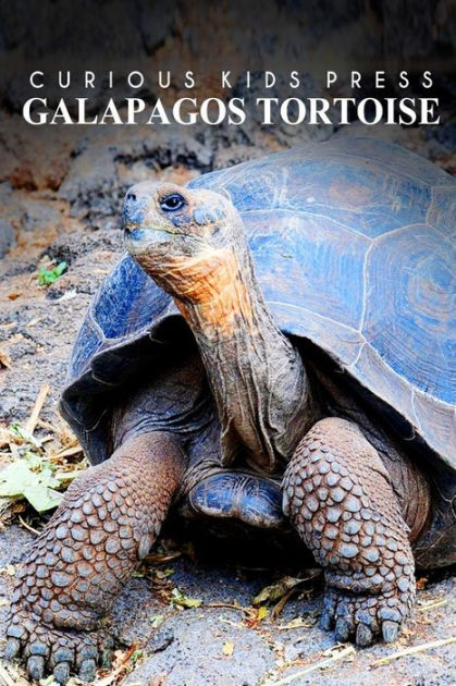 Galapagos Tortoise - Curious Kids Press: Kids book about animals and ...