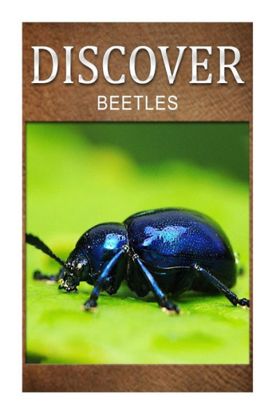 Beetles - Discover: Early reader's wildlife photography book