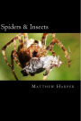 Spiders & Insects: Two Fascinating Books Combined Together Containing Facts, Trivia, Images & Memory Recall Quiz: Suitable for Adults & Children