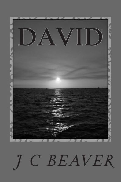 David: Journey Continues