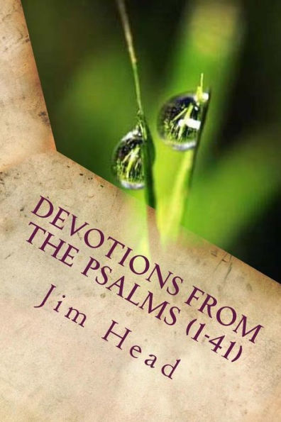 Devotional Thoughts From The Psalms (1-41)
