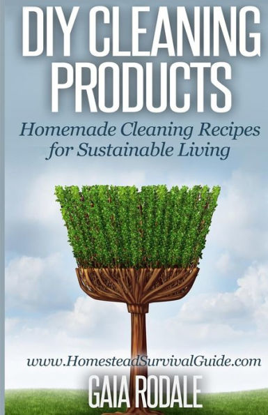 DIY Cleaning Products: Homemade Recipes for Sustainable Living