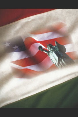 Uncivil Liberties Italian Americans Under Siege During World War Iipaperback - 