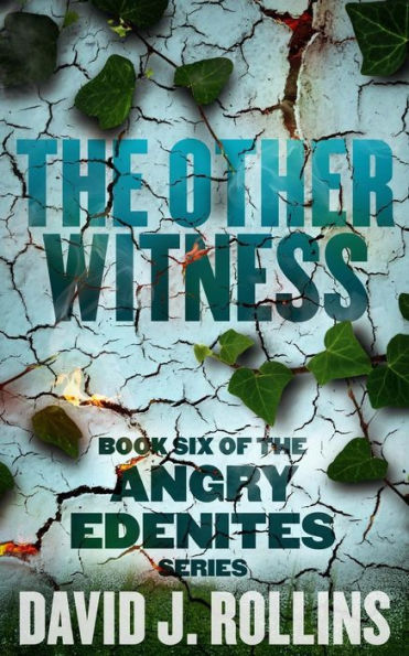 The Other Witness