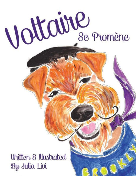 Voltaire Se Promène