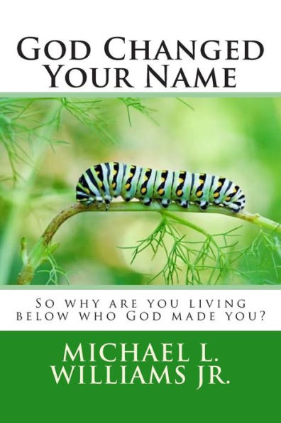God Changed Your Name: So why are you living below who God made you?