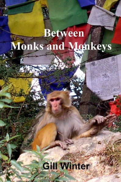 Between Monks and Monkeys