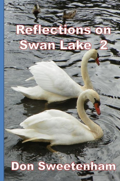 Reflections on: Swan Lake 2