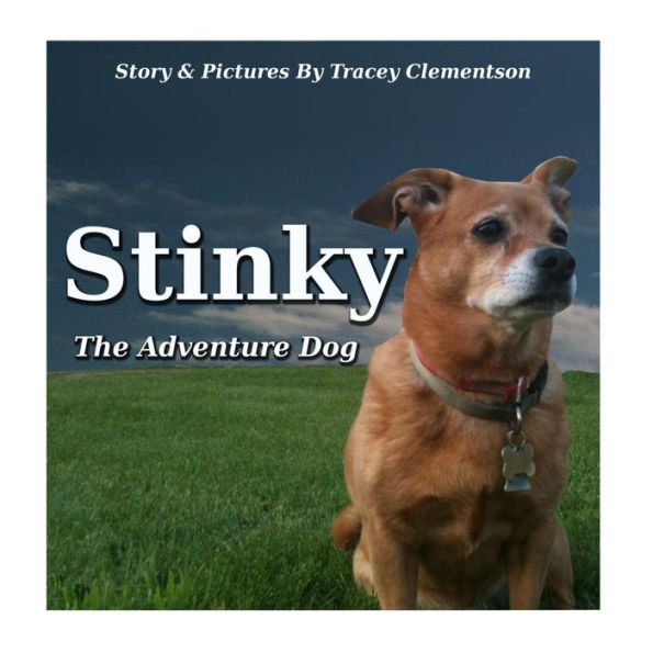 Stinky: The Adventure Dog
