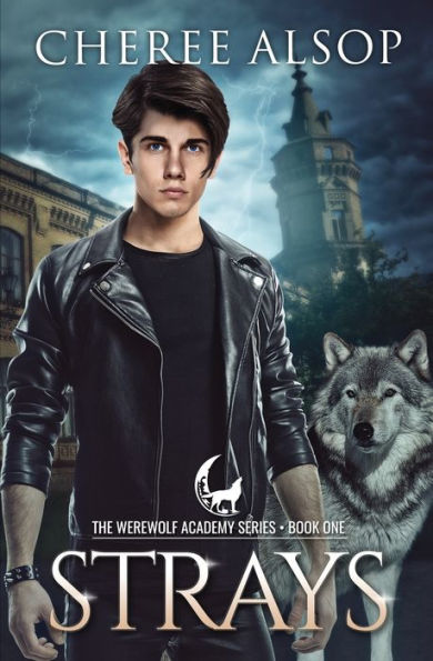 Werewolf Academy Book 1: Strays: Strays