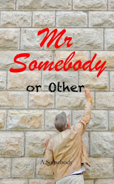 Mr Somebody or Other: A Journey - A Dream - An Idiot. Laugh out loud feel good memoirs of an everyday man who is nobody else's fool.