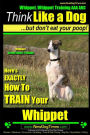 Whippet, Whippet Training AAA AKC: Think Like a Dog, but Don't Eat Your Poop! Whippet Breed Expert Training: Here's EXACTLY How to Train Your Whippet