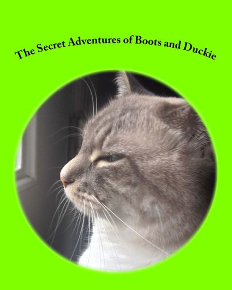 The Secret Adventures of Boots and Duckie