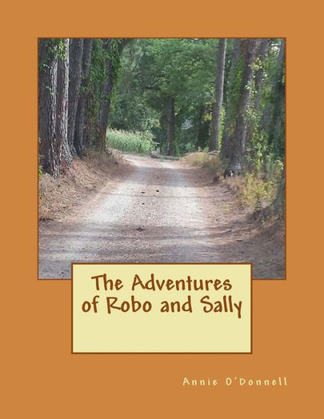 The Adventures of Robo and Sally